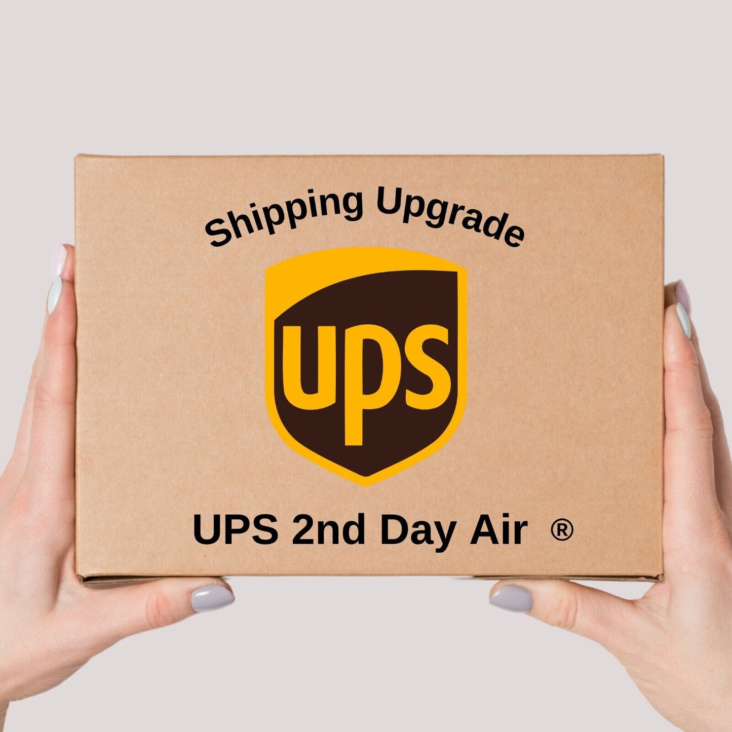 Replacement ($19) and Shipping ($12) - price adjustment